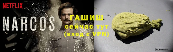 стаф Балахна